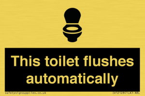 This toilet flushes automatically